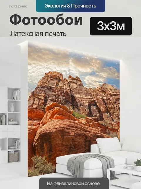 300 × 300 см · Латексная печать