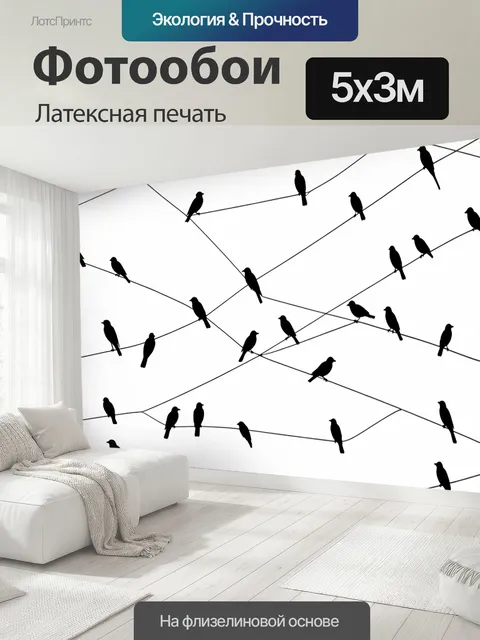 500 × 300 см · Латексная печать