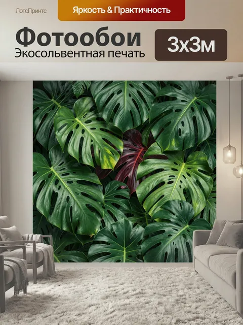 Фотообои Тропические листья монстеры. Плотная композиция из крупных резных листьев тропических растений с глянцевой фа…