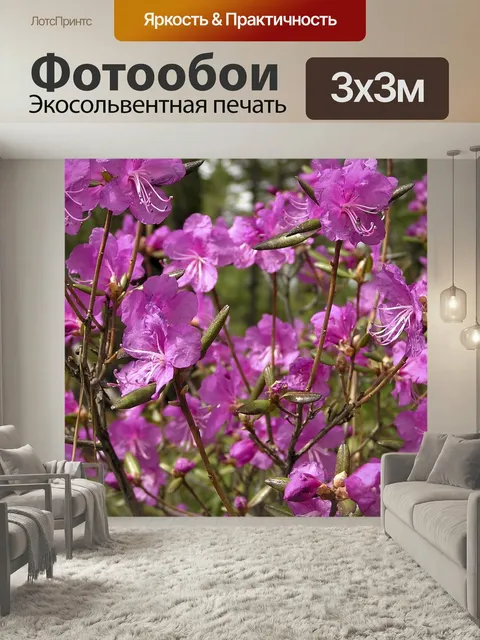 Фотообои Цветы, багульник, лето