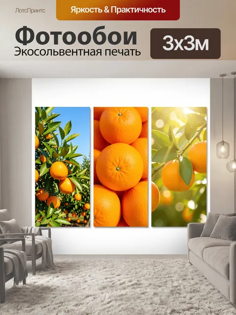 Фотообои Апельсины на ветках дерева. Сочные цитрусы среди глянцевой листвы в солнечном саду, крупные планы и тропическ…