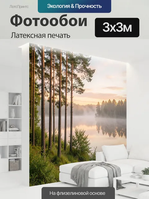 300 × 300 см · Латексная печать
