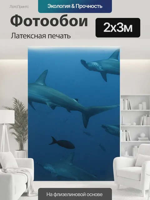 200 × 300 см · Латексная печать