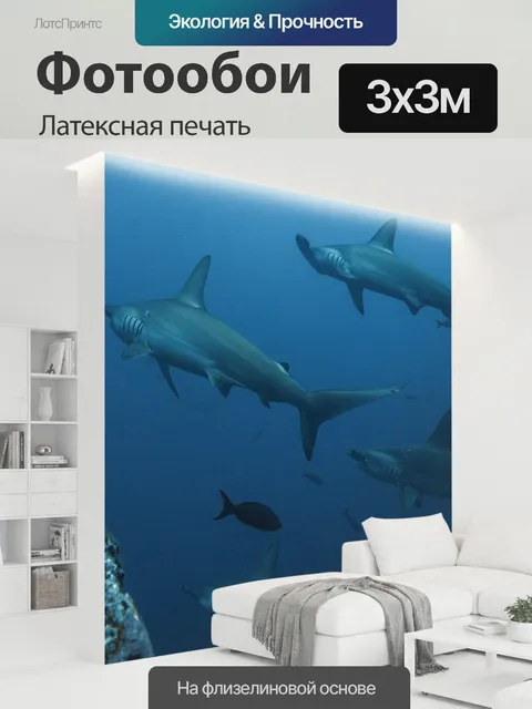 300 × 300 см · Латексная печать