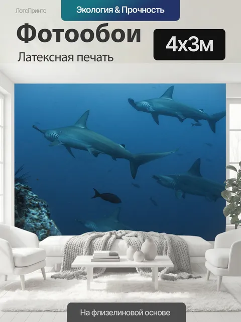 400 × 300 см · Латексная печать