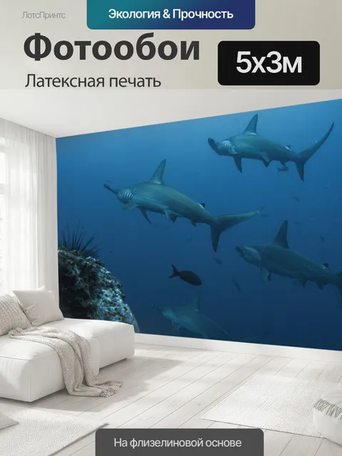 500 × 300 см · Латексная печать