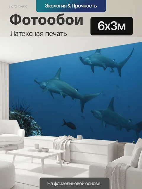 600 × 300 см · Латексная печать