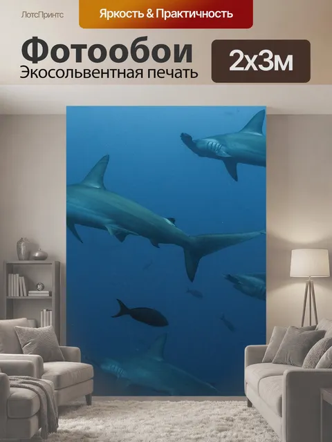 200 × 300 см · Экосольвентная печать
