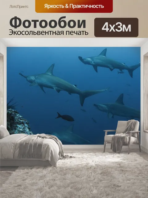 400 × 300 см · Экосольвентная печать