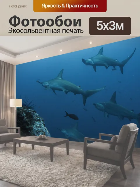 500 × 300 см · Экосольвентная печать
