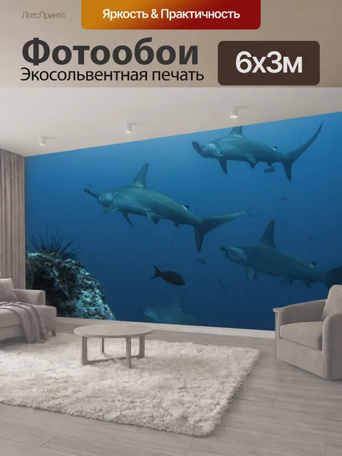 600 × 300 см · Экосольвентная печать