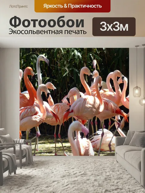 Фотообои Фламинго, птицы, розовый