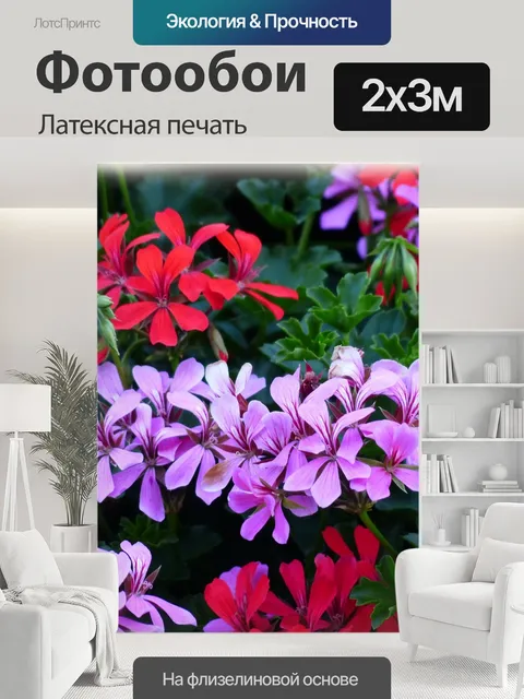 200 × 300 см · Латексная печать