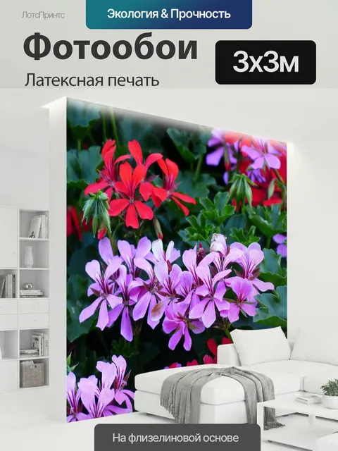 300 × 300 см · Латексная печать