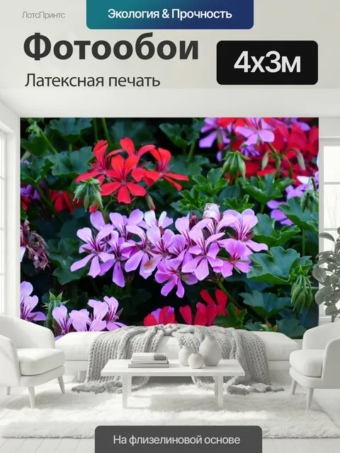 400 × 300 см · Латексная печать