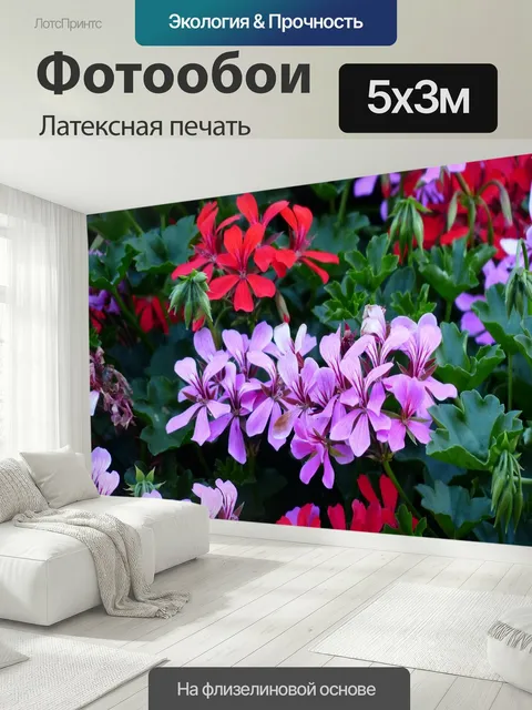 500 × 300 см · Латексная печать