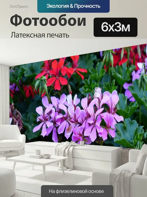600 × 300 см · Латексная печать