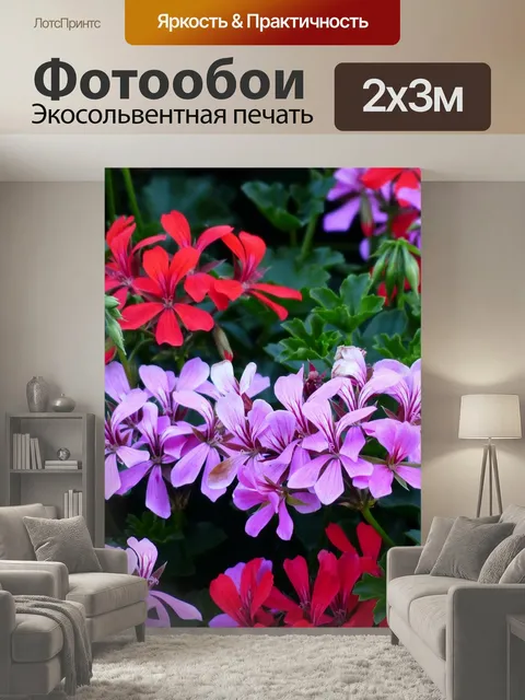 200 × 300 см · Экосольвентная печать