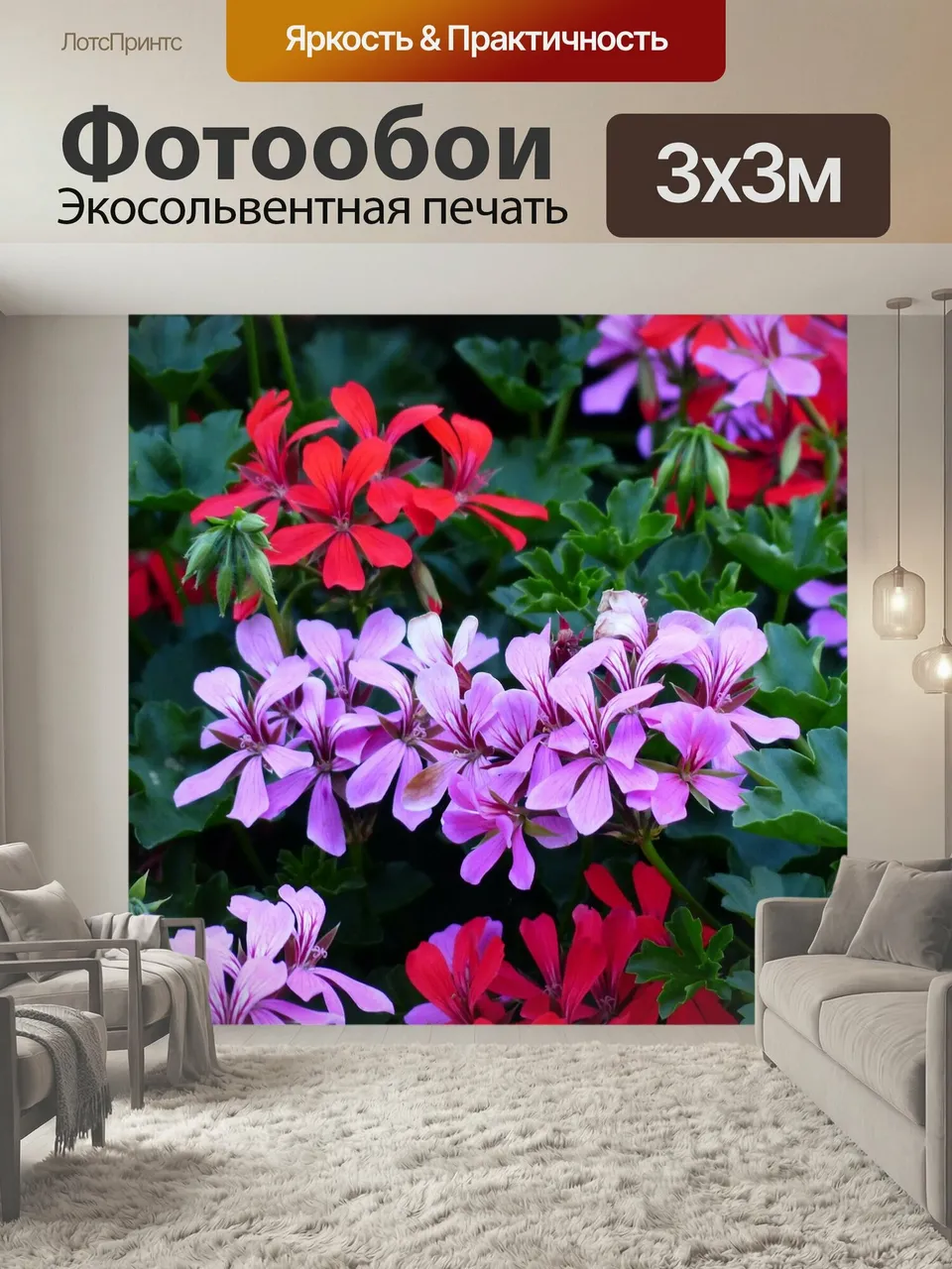 Фотообои Цветок, расцветает, герань