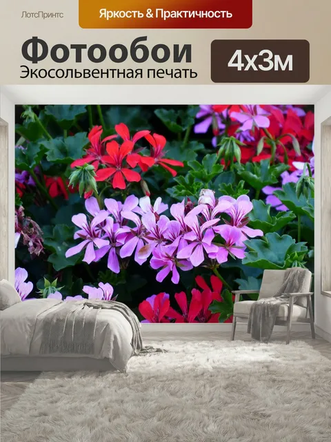400 × 300 см · Экосольвентная печать