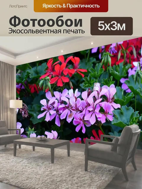 500 × 300 см · Экосольвентная печать
