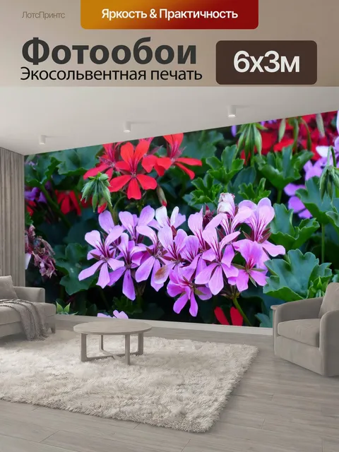 600 × 300 см · Экосольвентная печать