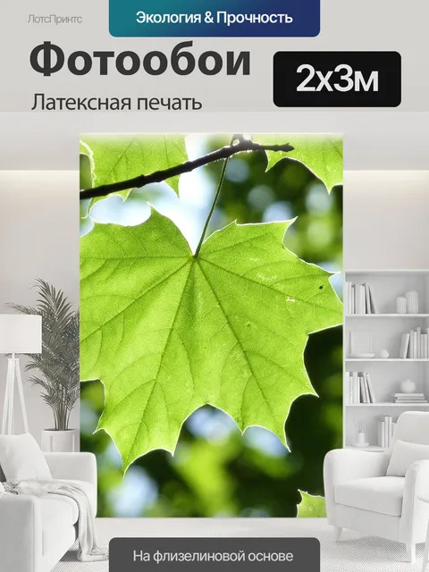 200 × 300 см · Латексная печать