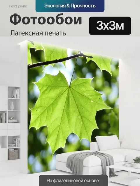 300 × 300 см · Латексная печать