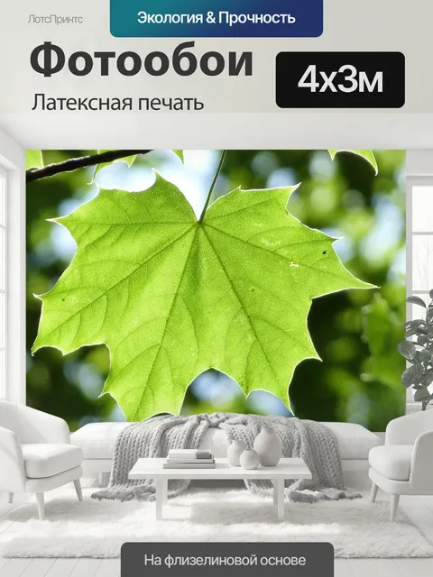 400 × 300 см · Латексная печать