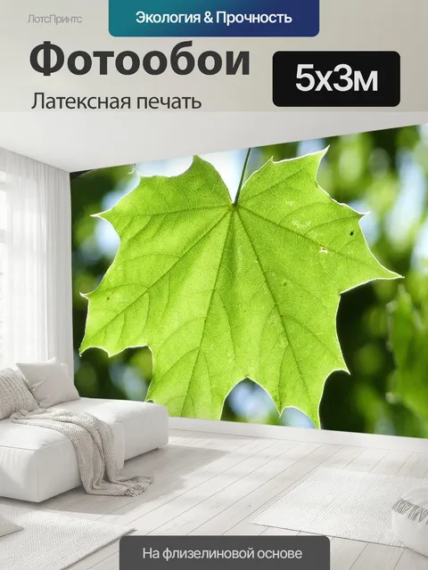 500 × 300 см · Латексная печать