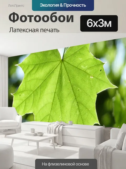 600 × 300 см · Латексная печать