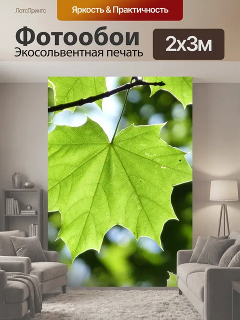200 × 300 см · Экосольвентная печать