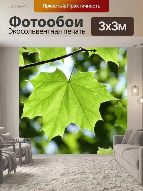 Фотообои Кленовый лист, лист, свет