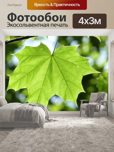 400 × 300 см · Экосольвентная печать