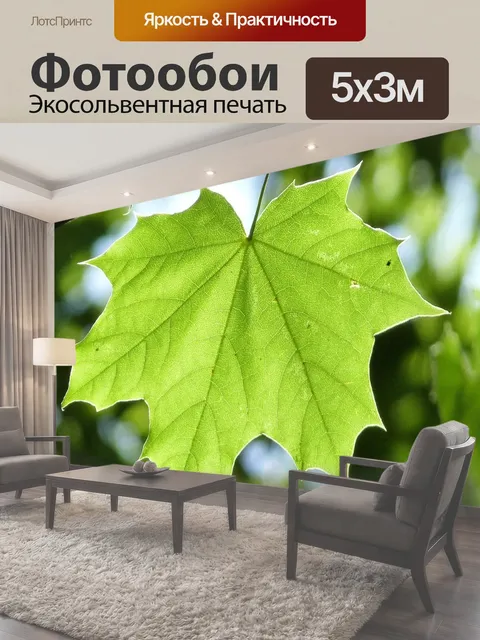 500 × 300 см · Экосольвентная печать