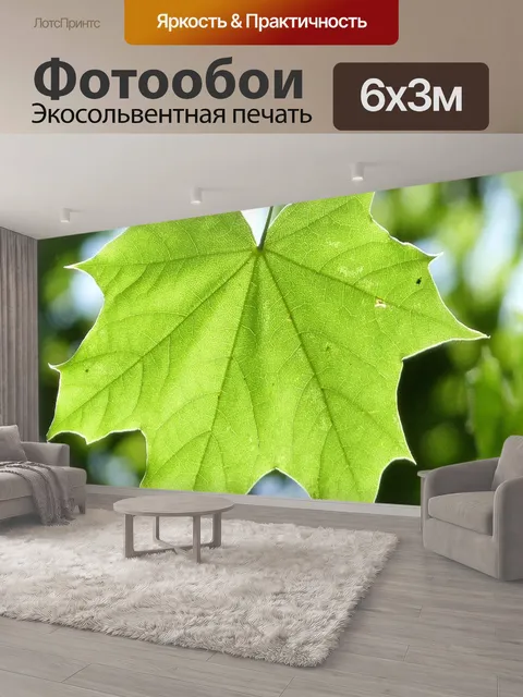 600 × 300 см · Экосольвентная печать