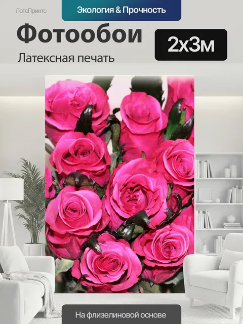 200 × 300 см · Латексная печать