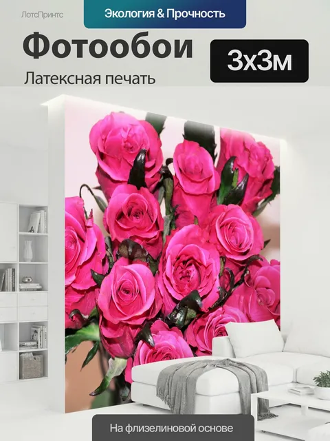 300 × 300 см · Латексная печать