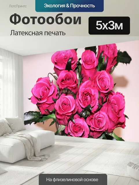 500 × 300 см · Латексная печать