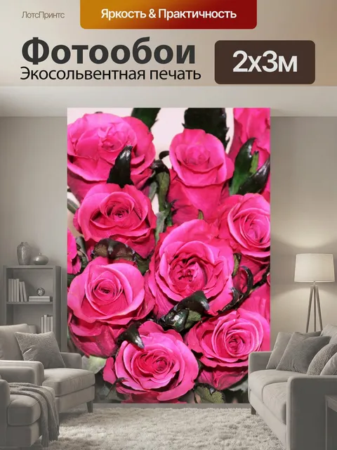 200 × 300 см · Экосольвентная печать