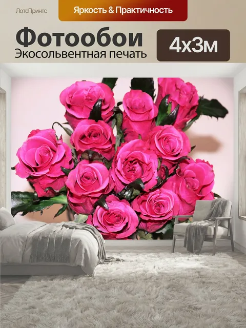 400 × 300 см · Экосольвентная печать
