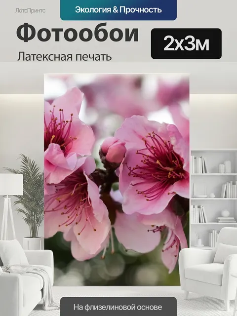 200 × 300 см · Латексная печать