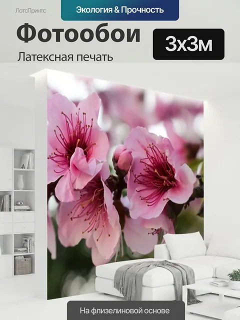 300 × 300 см · Латексная печать
