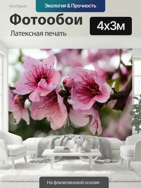 400 × 300 см · Латексная печать
