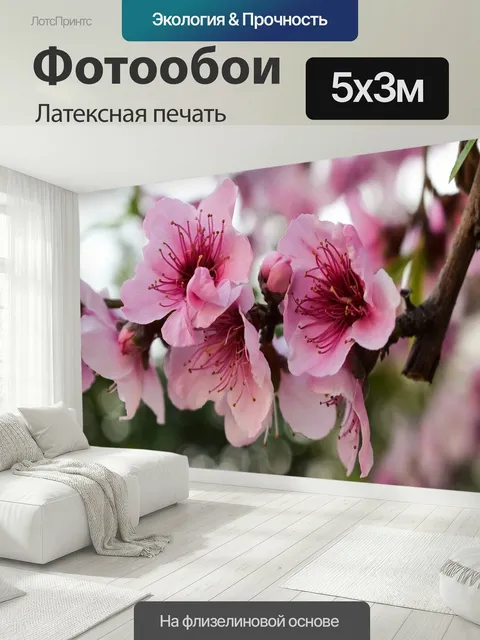 500 × 300 см · Латексная печать