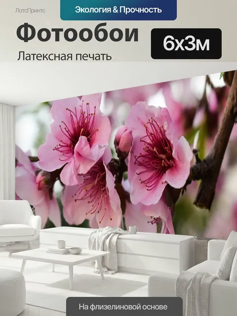 600 × 300 см · Латексная печать