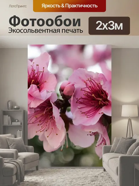 200 × 300 см · Экосольвентная печать