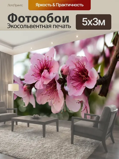 500 × 300 см · Экосольвентная печать