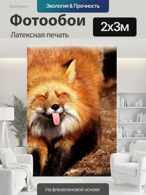 200 × 300 см · Латексная печать
