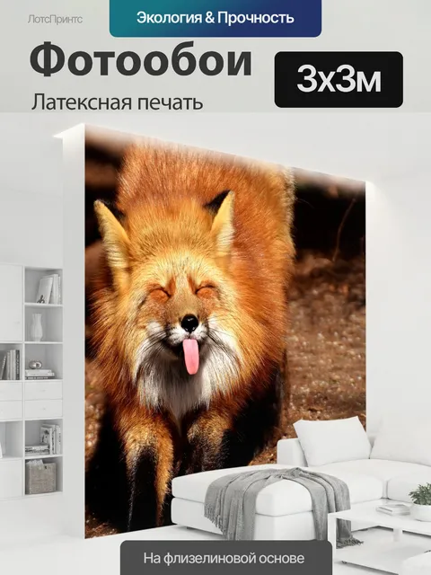 300 × 300 см · Латексная печать